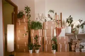 cambios de vida